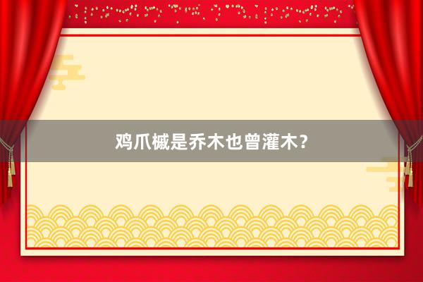 鸡爪槭是乔木也曾灌木？
