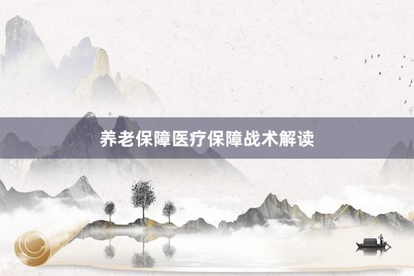 养老保障医疗保障战术解读